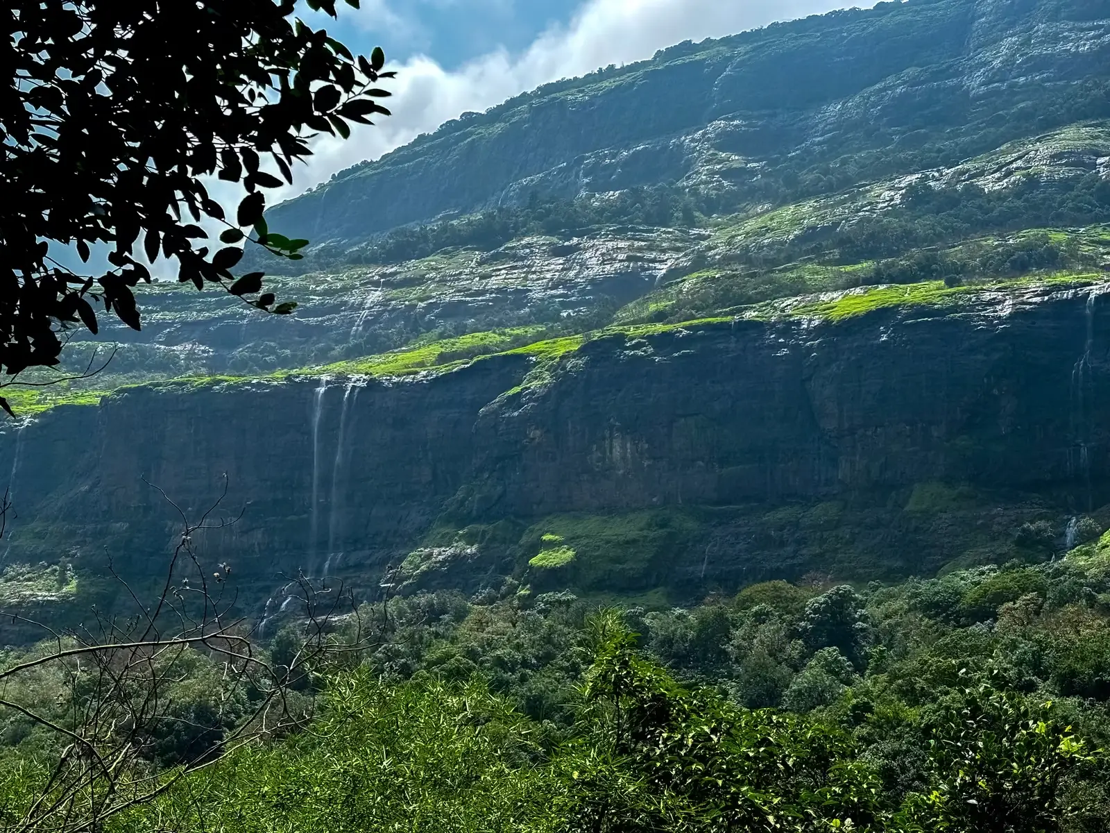 Aadrai Jungle Trek | Complete Guide Start to End