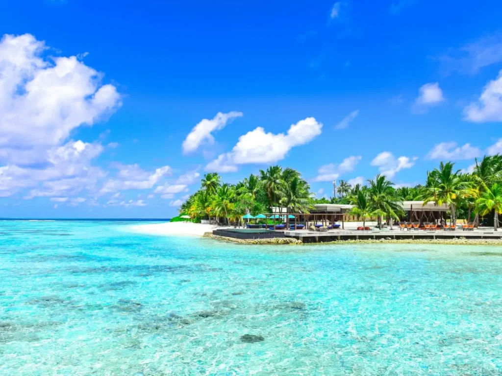 Cottages Near the Dahanu Beach