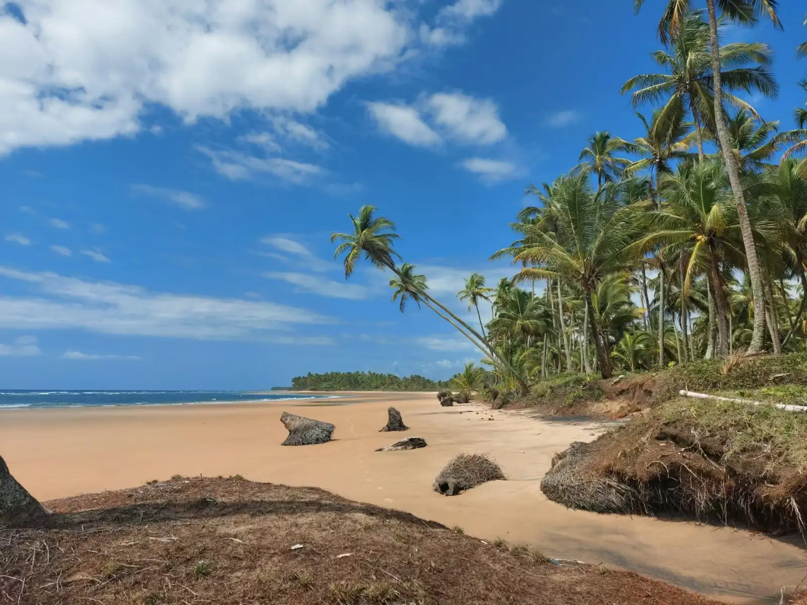 Dahanu Beach: The Perfect Peaceful Getaway