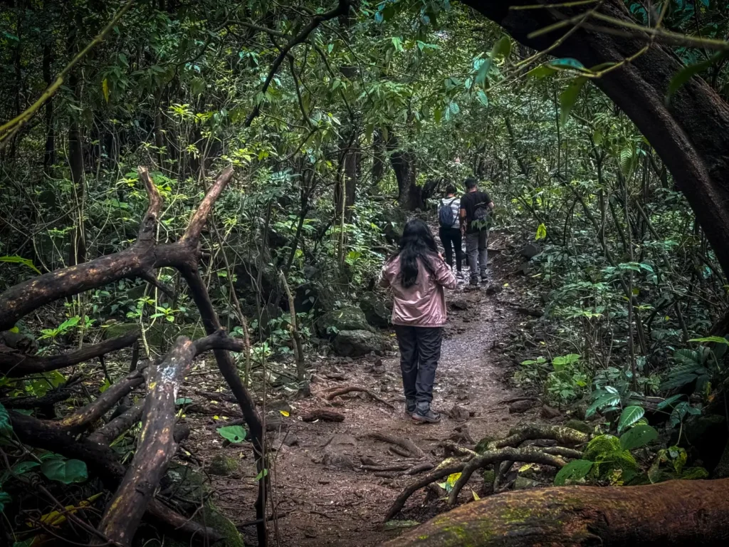 People on trail in Deep Forest during Aadrai Jungle Trek 