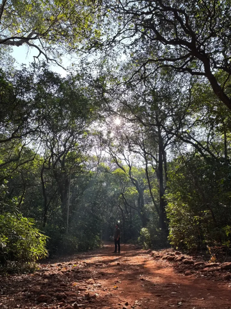 Matheran Jungle Trek Maharashtra