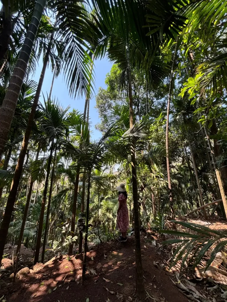 Shree Keshavraj Mandir Dapoli Trek Maharashtra