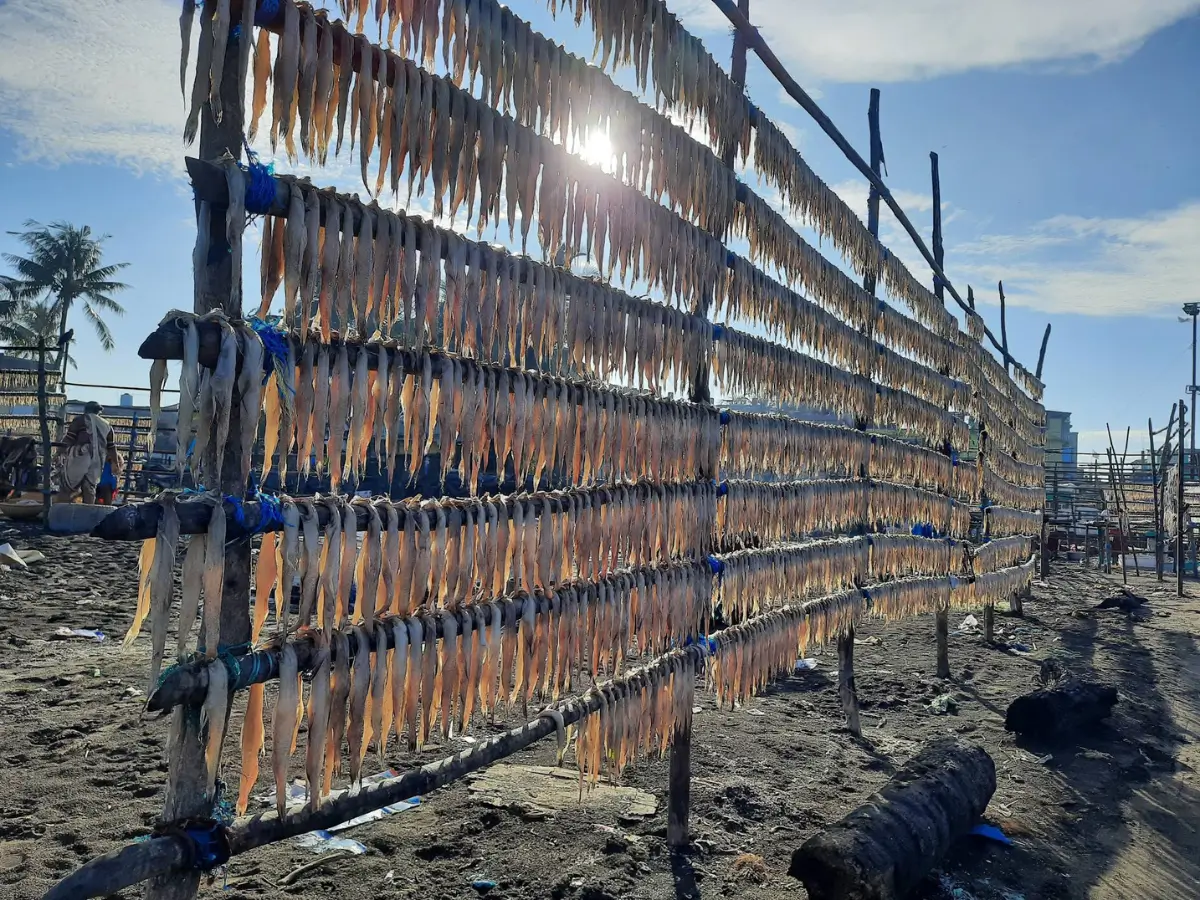 Arnala Beach, Virar – Complete Travel Guide