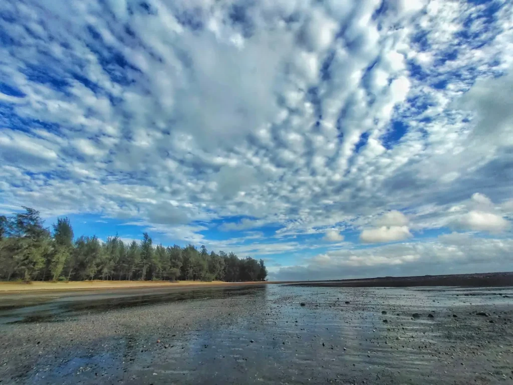 Chikhla Beach Trek Maharashtra