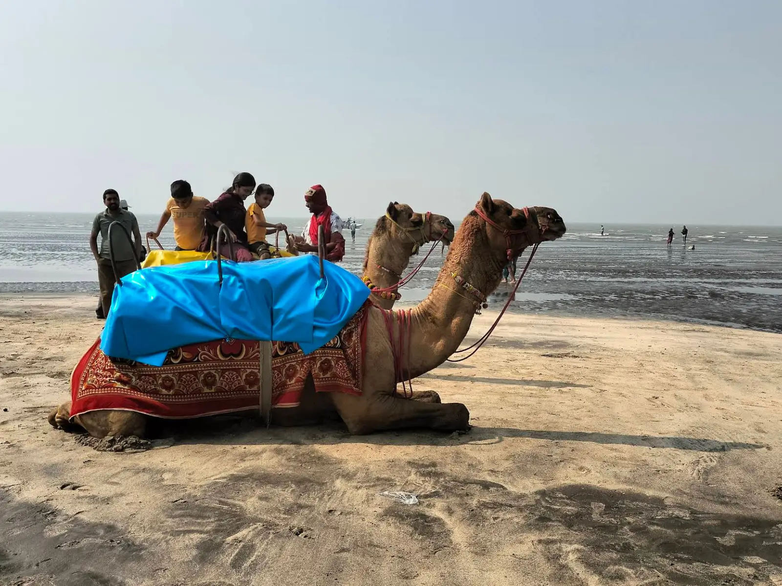 Chinchani Beach Trek Maharashtra
