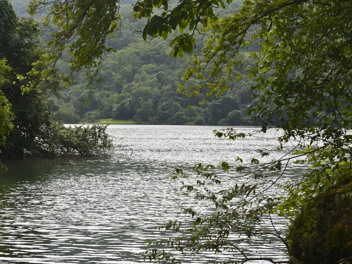 Devkund Waterfall Trek Kundalika River
