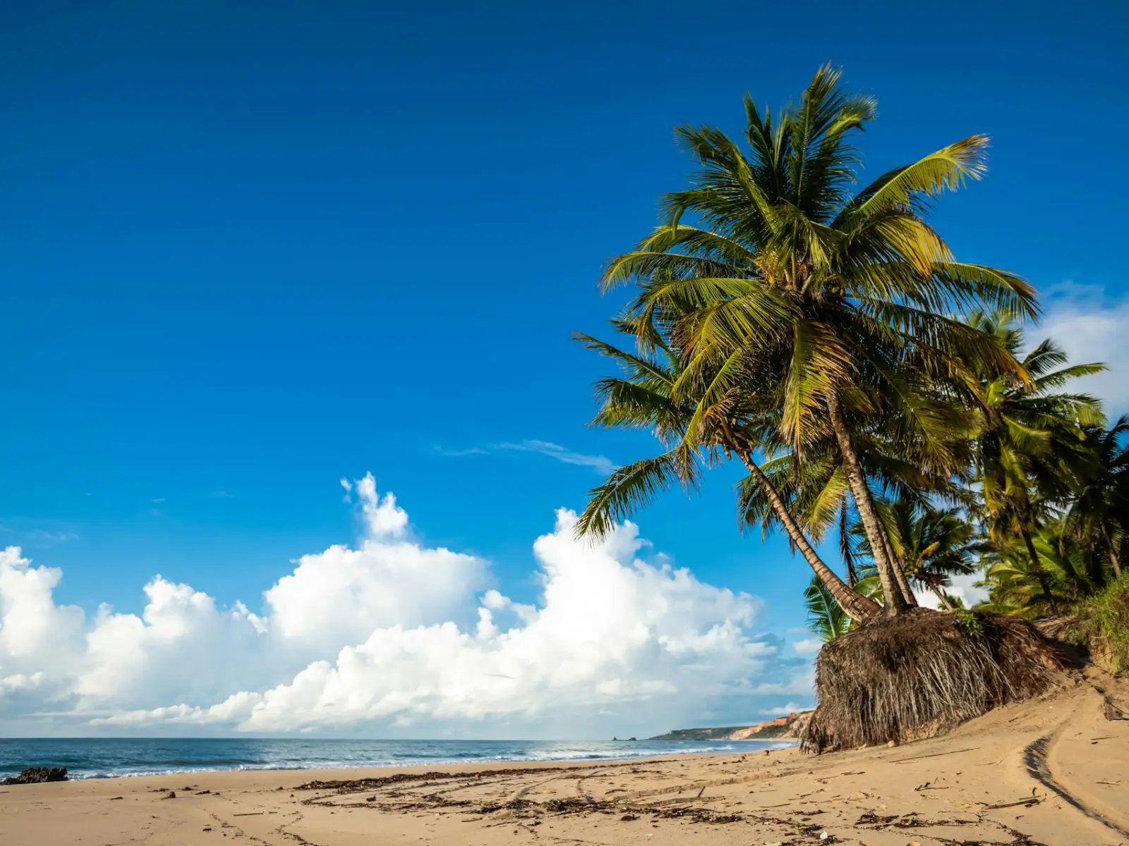 Gholvad Beach Travel Guide