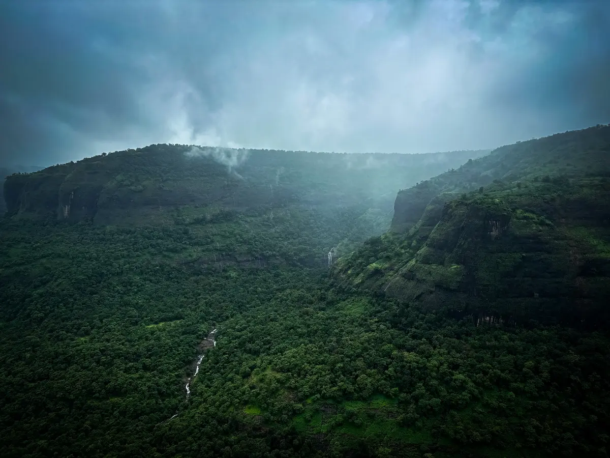 Andharban Jungle Trek View from Savlya Ghat